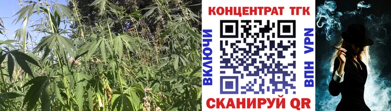 ТГК концентрат  Снежинск 