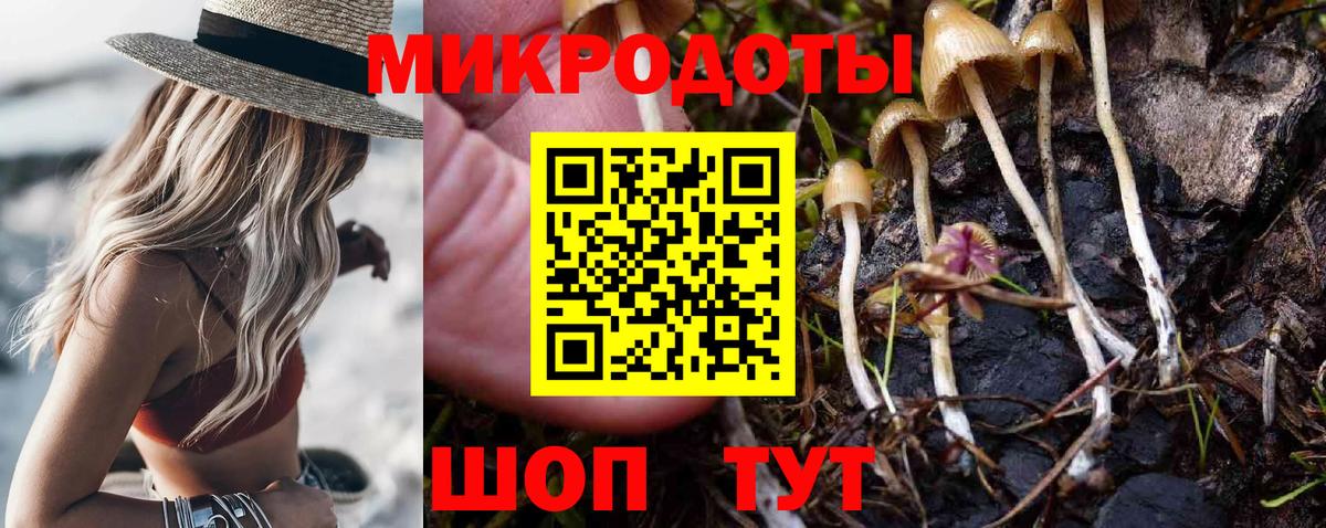 хочу наркоту  Псилоцибиновые грибы GOLDEN TEACHER  Вход с VPN  Галлюциногенные грибы Psilocybe  Снежинск 